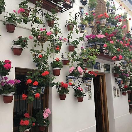 Apartamento El Rincon De La Verdad Кордоба Екстериор снимка